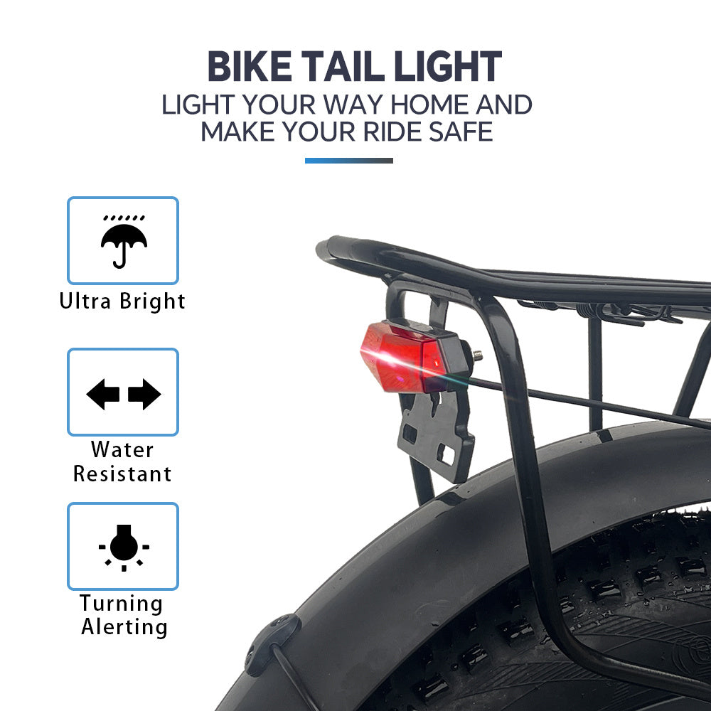 Electric Bicycle
