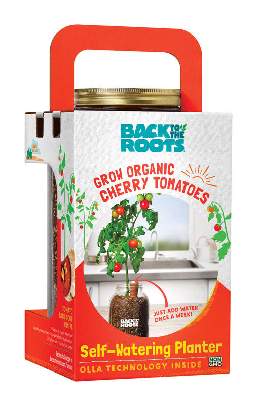 Back to the Roots Self-Watering Planter Grow Kit for Full Sun