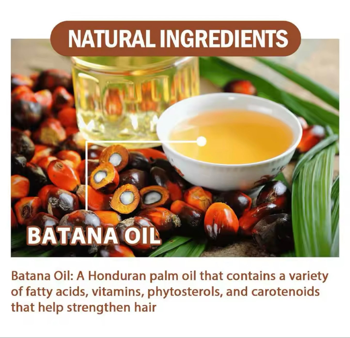 Batana Oil / Organic hair growth product