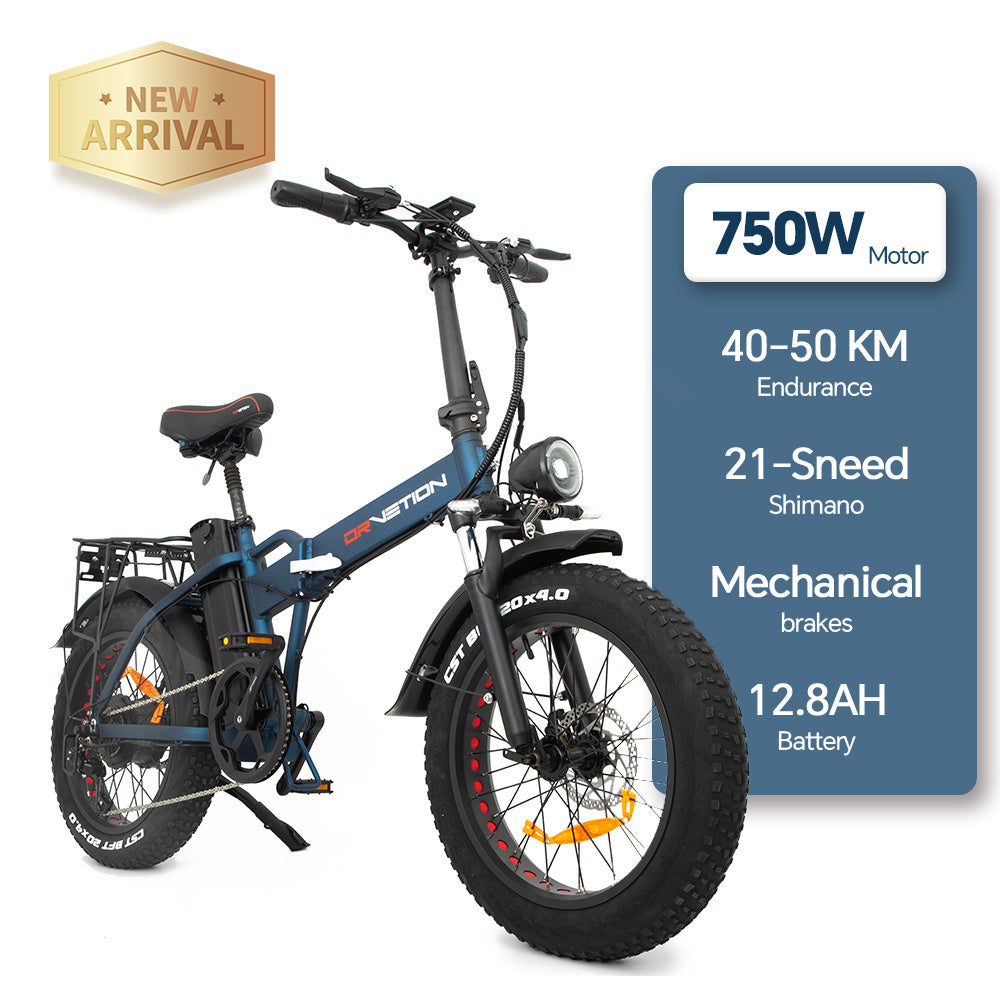 Electric Bicycle